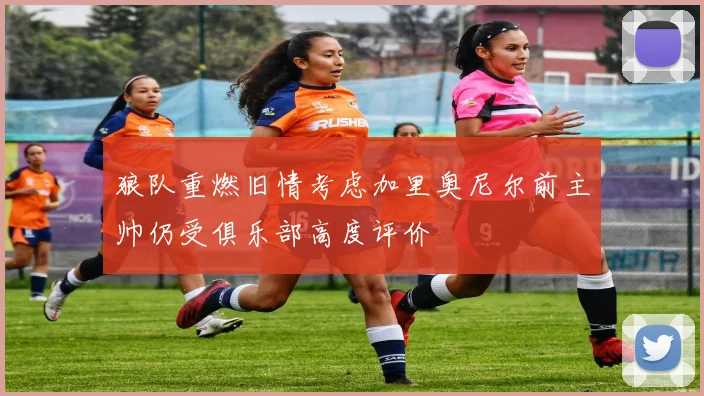 狼队重燃旧情考虑加里奥尼尔前主帅仍受俱乐部高度评价