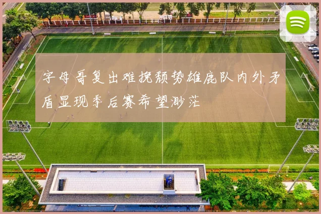 字母哥复出难挽颓势雄鹿队内外矛盾显现季后赛希望渺茫